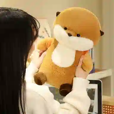 lionf 35cm