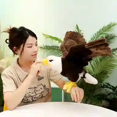 60cm90cm