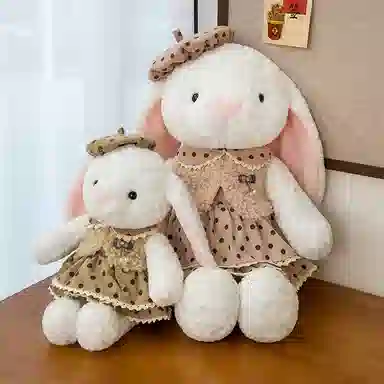 30cm40cm