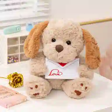 25cm