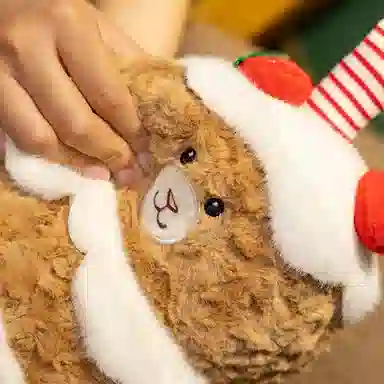 lionf 35cm