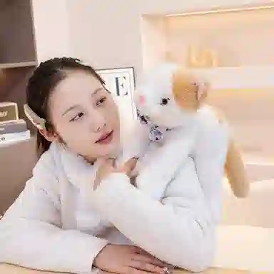 lionf 25cm35cm