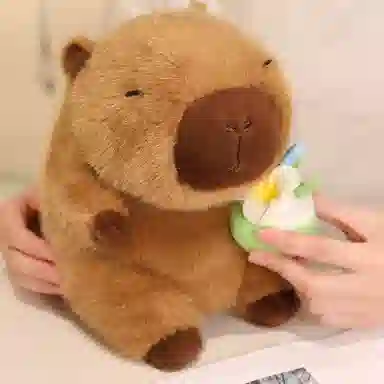 lionf 22cm30cm