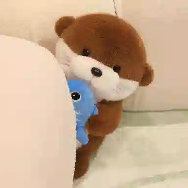lionf 35cm50cm