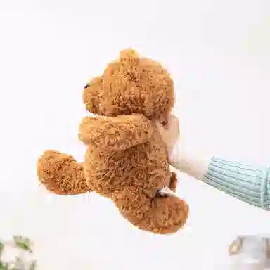 lionf 35cm45cm