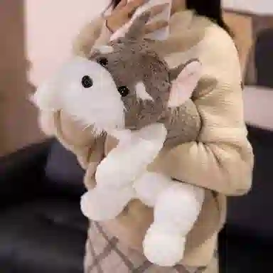lionf 45cm65cm90cm