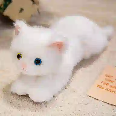 40cm