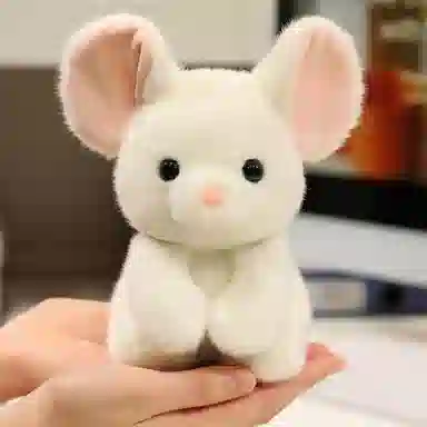 15cm