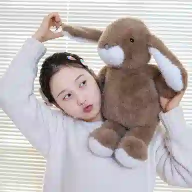 lionf 33cm43cm53cm