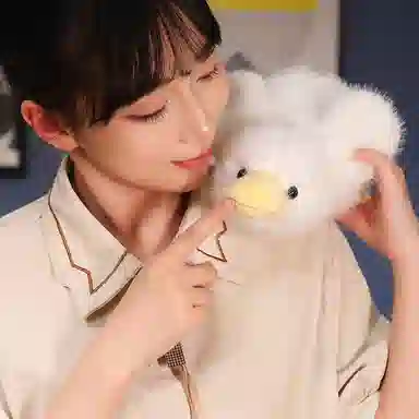 lionf 30cm50cm65cm