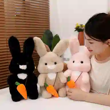 30cm40cm