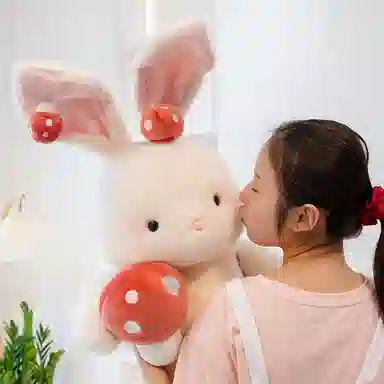 40cm60cm