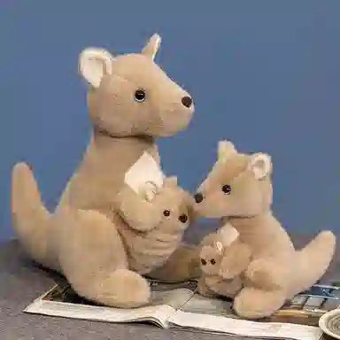 lionf 22cm35cm