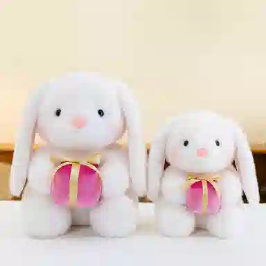 25cm35cm