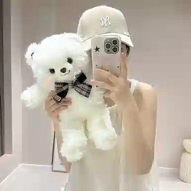 lionf 35cm45cm