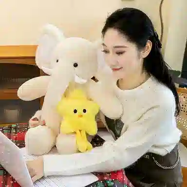 36cm57cm