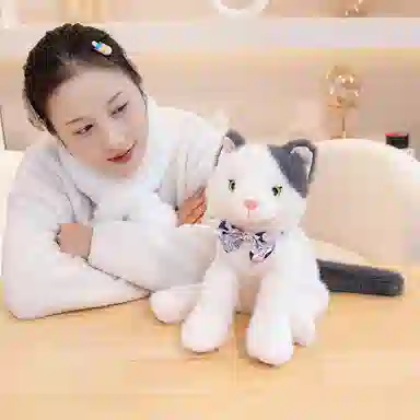 lionf 25cm35cm