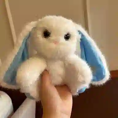 lionf 25cm