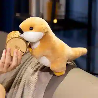 22cm