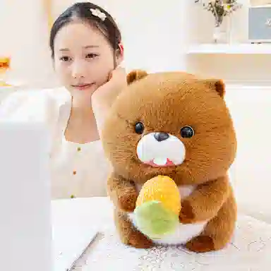 20cm30cm