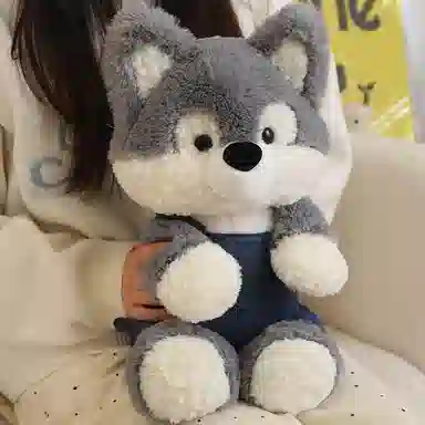 lionf 50cm