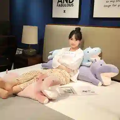 lionf 88cm120cm