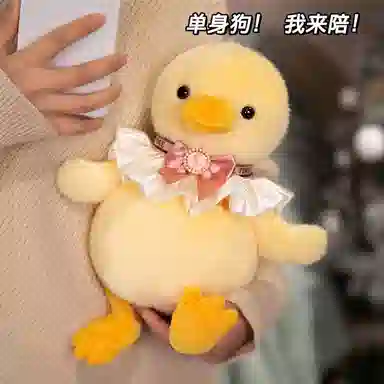 lionf 25cm
