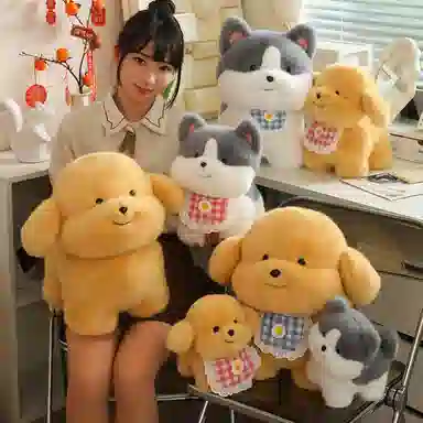 20cm30cm40cm