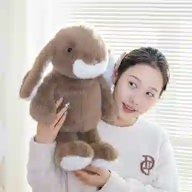 lionf 33cm43cm53cm