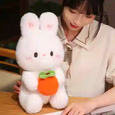lionf 25cm35cm50cm65cm