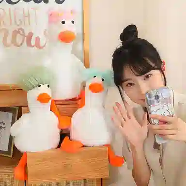 lionf 40cm50cm60cm