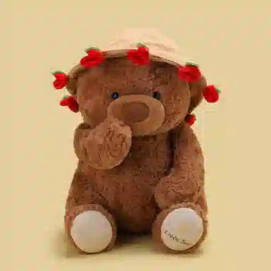 lionf 25cm38cm