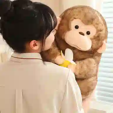 lionf 23cm30cm40cm