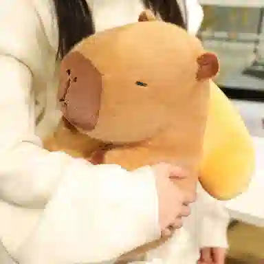 lionf 22cm33cm
