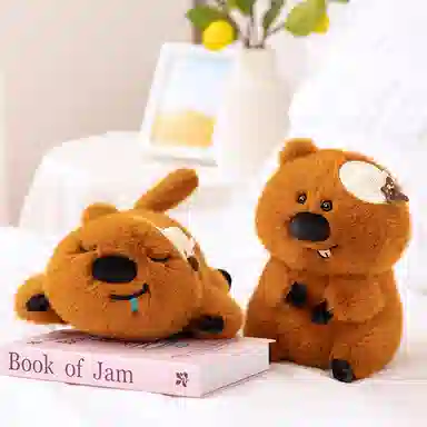 lionf 33cm23cm