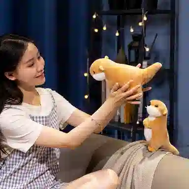 22cm