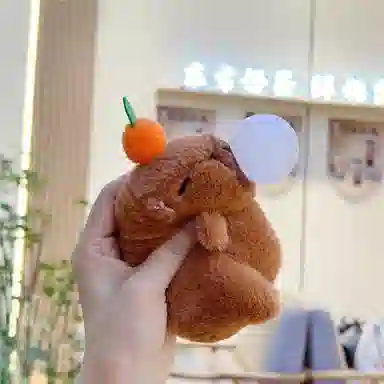 11cm