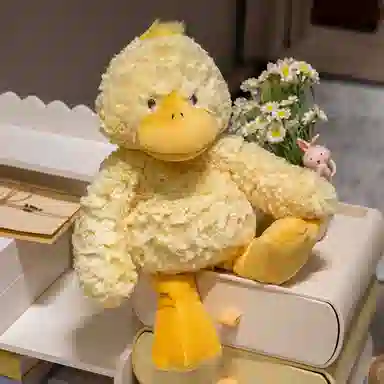 lionf 32cm