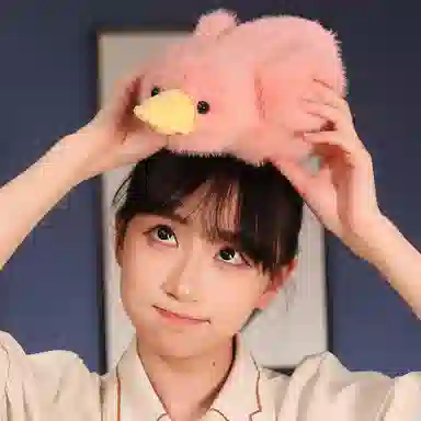lionf 30cm50cm65cm