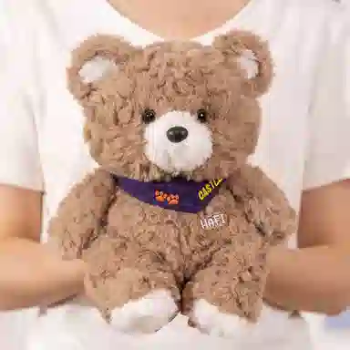 23cm