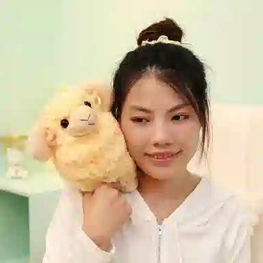 lionf 25cm