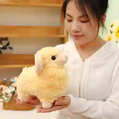 lionf 25cm