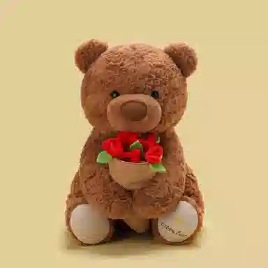 lionf 25cm38cm