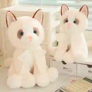 lionf 25cm33cm