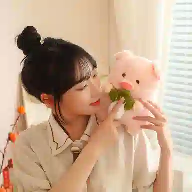 lionf 20cm30cm