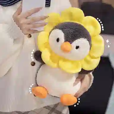 25cm35cm