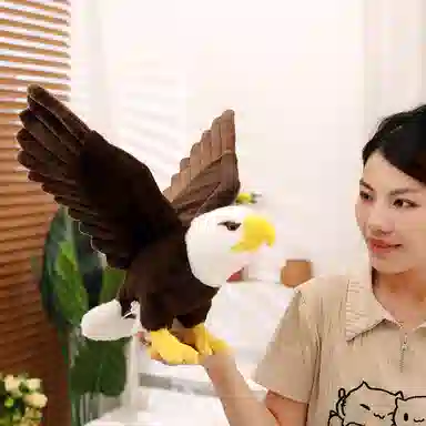 60cm90cm