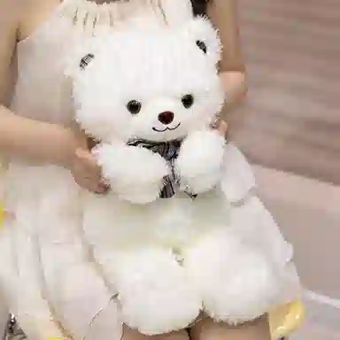 lionf 35cm45cm