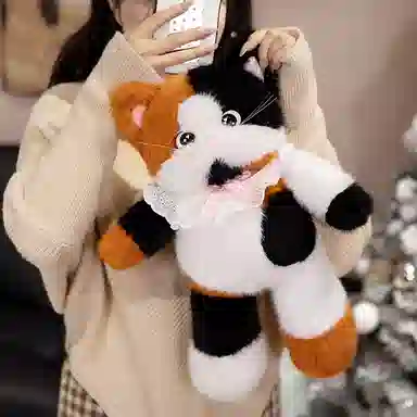 lionf 45cm60cm