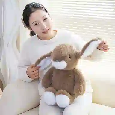 lionf 33cm43cm53cm
